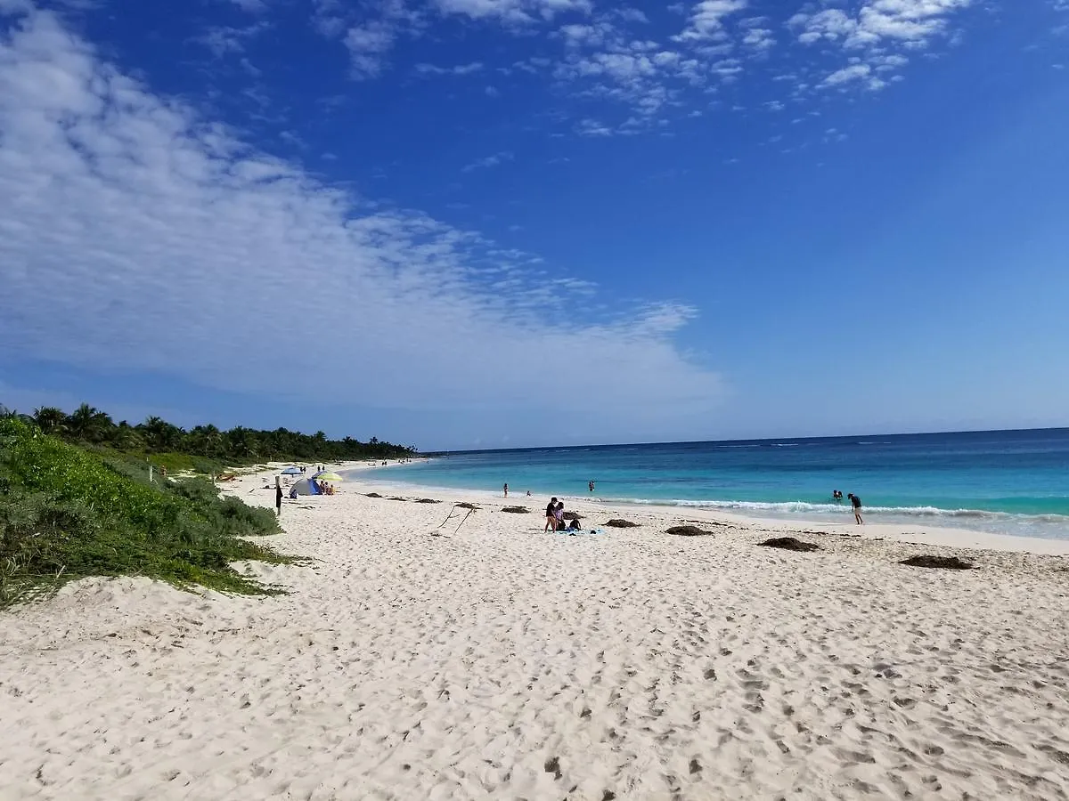 Charming Apartment Within Bahia Principe 5* Akumal